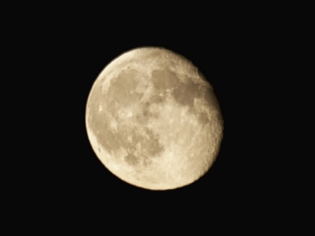 Luna. Fotografía: Enrique F. de la Calle